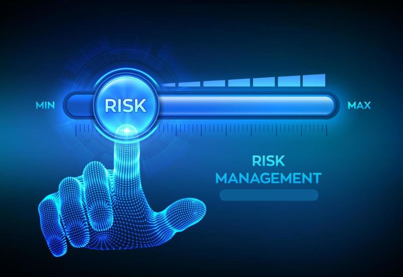 Risk Management in Procurement